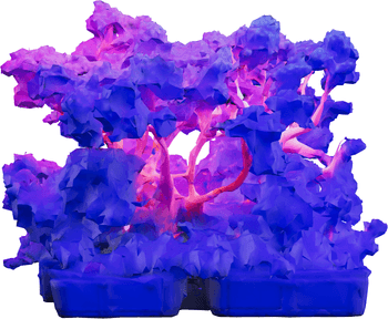 Quantum Computing and Cybersecurity