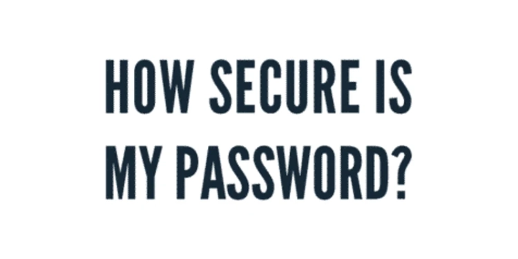 How Secure Is My Password? Logo